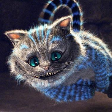 We all mad here...