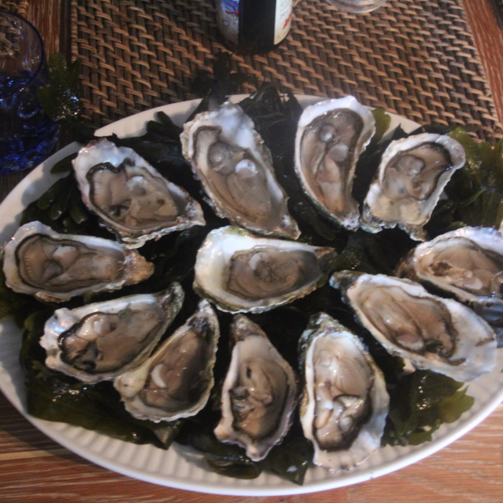 Freelance Cookery Tutor, Mum, Business Owner, Tweets about food sometimes - All Views My Own