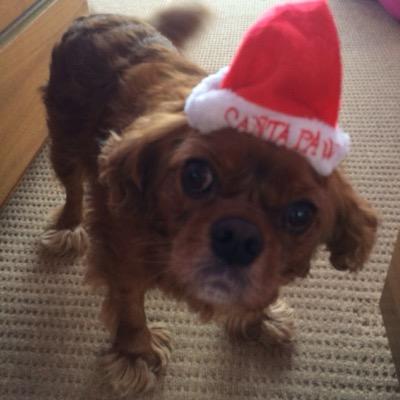 richwilkinson23 Profile Picture