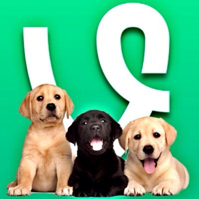 coolanimalvines's profile picture. We go through millions of cute animal vines & bring you the best clips of the day! Laugh & say AWWW