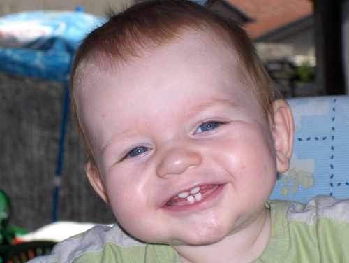 Alfons_Zeinstra's profile picture. 