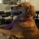 Greg Allan - @grobot1234 - Twitter