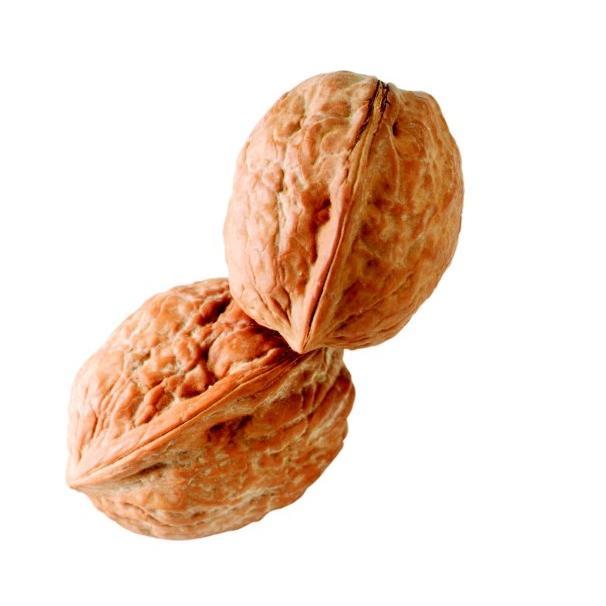 BrosNuts's profile picture. #ВзаимныйФоловинг
#взаимный_фолловинг
#ЗаFollowМеня
#ФолловлюВзаимно
#Взаимный
#читаешьменячитаютебя
#ФолловингКаждыйДень
#rufollowback  
#ru_ff