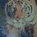 #Layla Campos# - @GiuseppLayla - Twitter