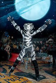 Protector of the Jellicles. Munk is what they call me. Don't over whelm me, I'm a great friend to trust. #Single. #NotLooking. Can I trust you?! #CatsRP