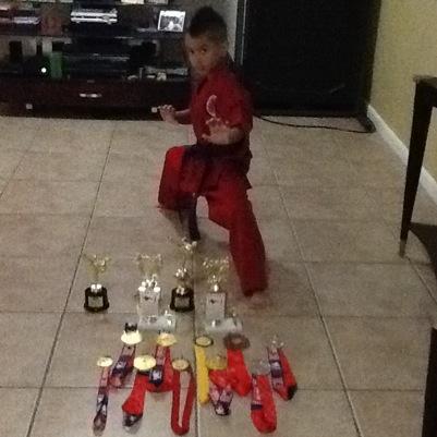 i am 9 years old and i am a purple belt in tae kwon do and i have won 1st place in over 7 competitions global.