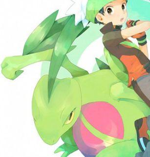 I'm Sinon the Grovyle.......I'm not a big fan of humans.....but we get along...@Grassyreptile warms her heart (wild, Lv.22)