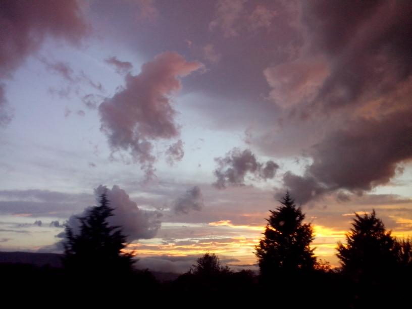 stojkovgorjan's profile picture. 