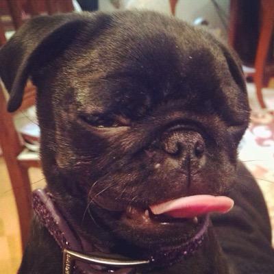 MadreMj's profile picture. 