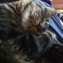 Traci Carr - @Tracington1 - Twitter