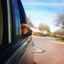 Nick Perrella - @gingabeerd - Twitter