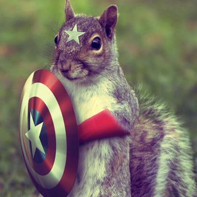 jdhdhdksjshdhd's profile picture. 