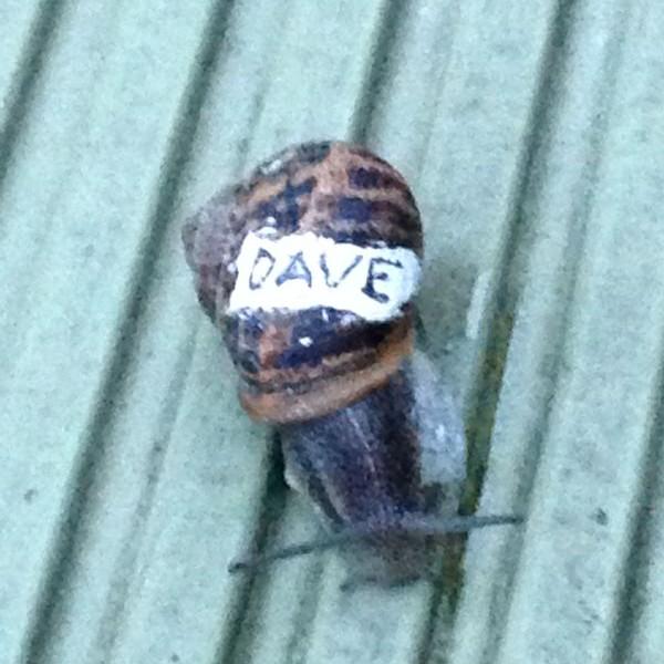 DonnaMcCheese's profile picture. You'll laugh, you'll cry...there's something for everyone!