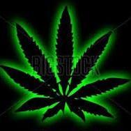 ORDER NOW (714) 465-9482
We delivery your favorite LEAF in 30 minutes or less. Zippy service, delivered to any Zip code, always in a Zip sealed smell proof bag.