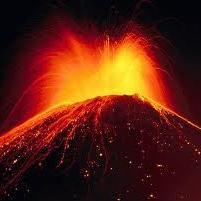 nenito_222's profile picture. 