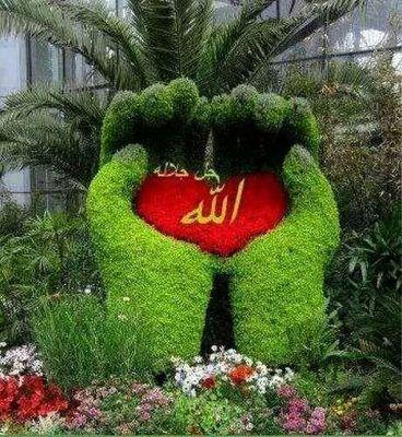 99bbe43a9ee5442's profile picture. 