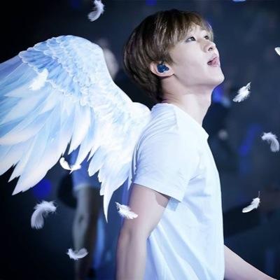 『 Vampire 』【Mi mundo es el infierno de los infieles. Mi sangre el placer de los inmortales.】