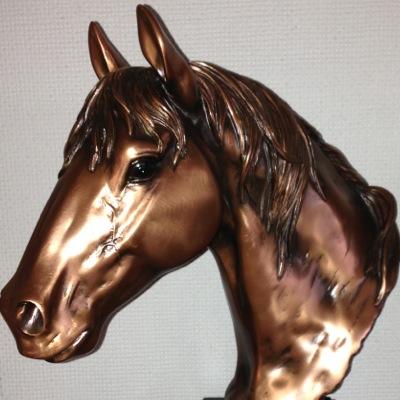 Friendly local riding club that runs 8 club shows and a supreme open show. We host numerous qualifiers during the year. New and non members are always welcome.