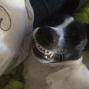 Ashlee Boyer - @AshleeSecor - Twitter