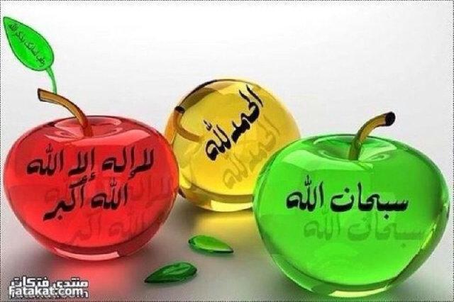 mesh24D33ABD's profile picture. 