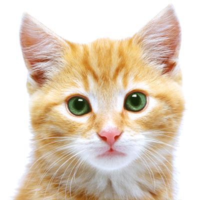 デジカメ、パソコン、ドライブが趣味です。 原発即時ゼロ、雇用と賃金まもれ、憲法改悪反対。 Facebook ：https://t.co/znA5dJKvRf gooブログ：https://t.co/QhqfLDfO3h ９９％の側の立場で日本の民主的変革をめざす共産党兵庫県委員会で働いています。
