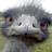 james_thommo's profile image