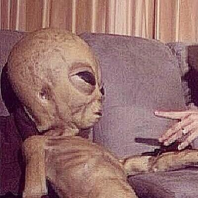 so trippy I trip on trips