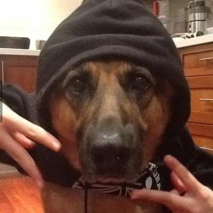 Up and coming rapper from the downlow. WEST SIDE OF POUND REPRESENT! Check out my mixtape. came out 'bouta week ago
