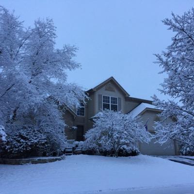 cherirausch's profile picture. 