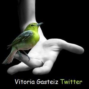 Información de interés sobre tu ciudad, Vitoria-Gasteiz.