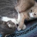 DEBRA ELDRIDGE - @Al16Eldridge - Twitter