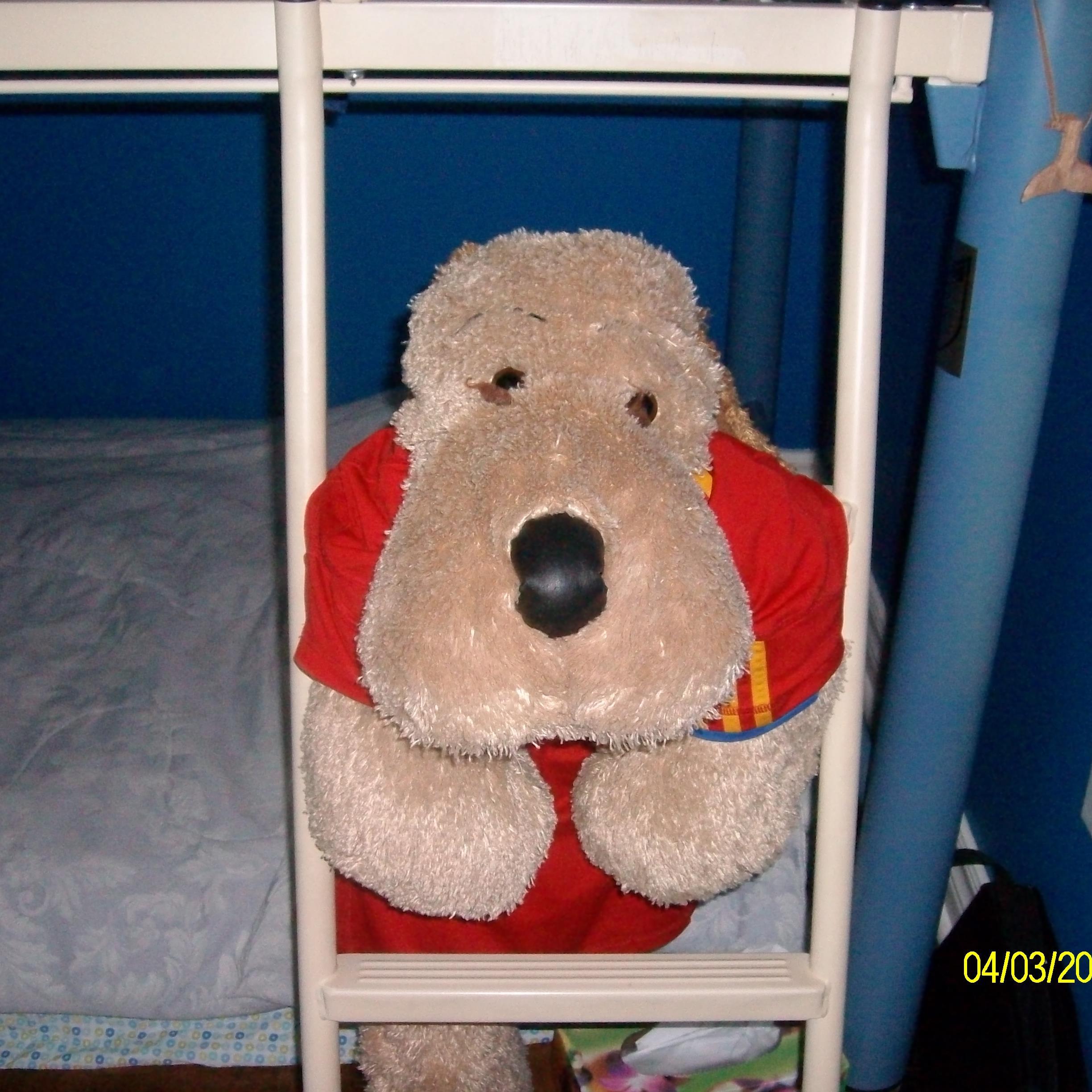 Superchef25's profile picture. 