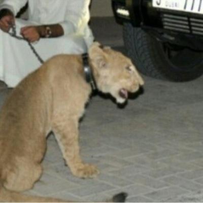 ضيفوني ع حسابي الجديد 0o505o0