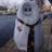 DoctorMcCrimmon's profile image