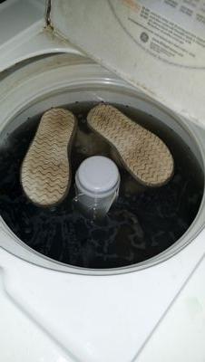 tiltkill's profile picture. I like to watch people when they don't know it.