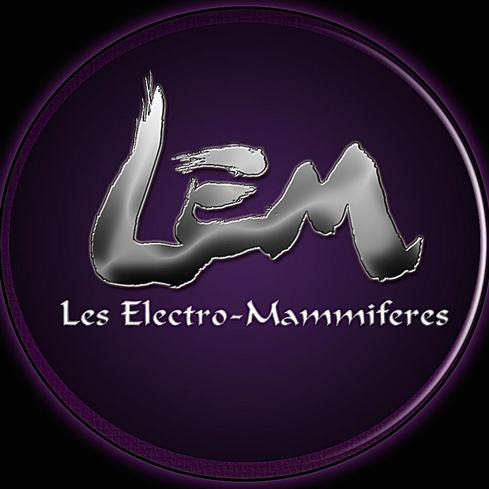 Lem_officiel's profile picture. Rock flamboyant,électro lourde, Drum&Bass vitaminée et chant envoûtant démarquent et confirme sa notoriété en tant que digne représentant de la fusion Francaise