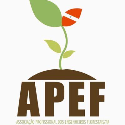 Associação Profissional dos Engenheiros Florestais do Estado do Pará, 46 anos de contribuição.