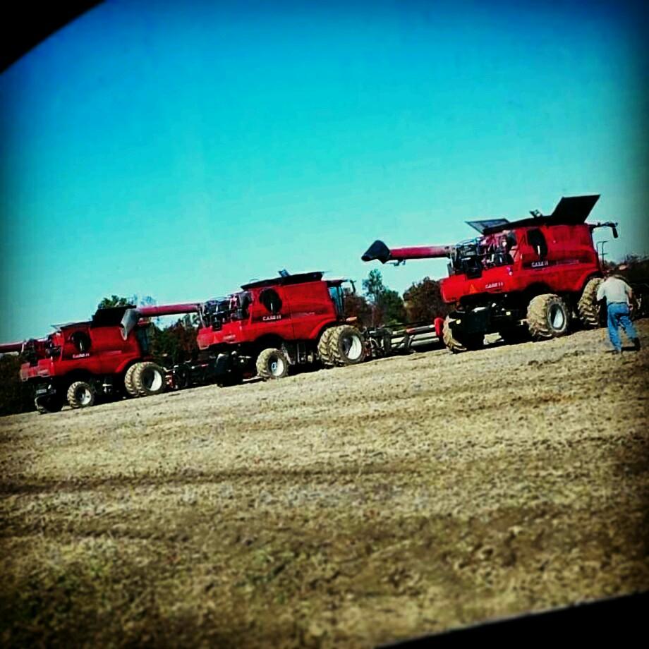 cicisbff's profile picture. 