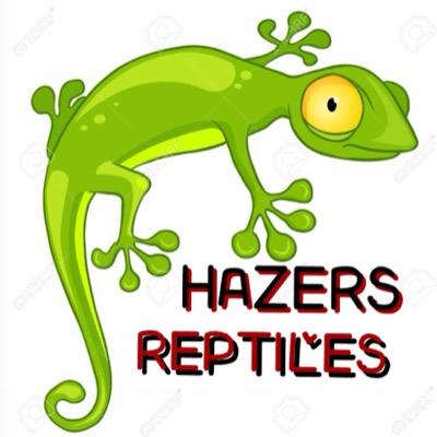 A REPTILE SELLER AND BUYER WHO ENJOYS CHECKING OUT NEW COOL SPECIES OF ANY ANIMAL! MY WEBSITE WILL SOON BE UP AND LOTS OF EXOTIC PETS WILL BE UP FOR SALE!