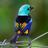 Qspecial1001's profile image