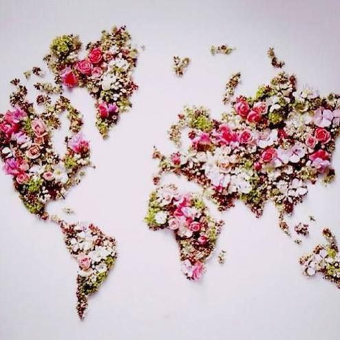 AutryApril's profile picture. Holistic primary care clinician committed to quality, compassionate care, and to the advancement of human rights.