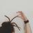 Licconrastas's profile image
