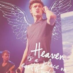 My dream is to meet them and go to there concert, My first concert to be precise ❤️Niall Horan❤️ ~Boy Directioner~
