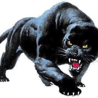 The Official Plant High School Wrestling Twitter Page; Follow Us On Instagram; Like Our Page On Facebook