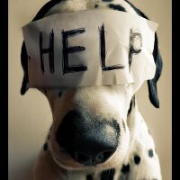 SOS Animais (@sos_animais) 's Twitter Profile