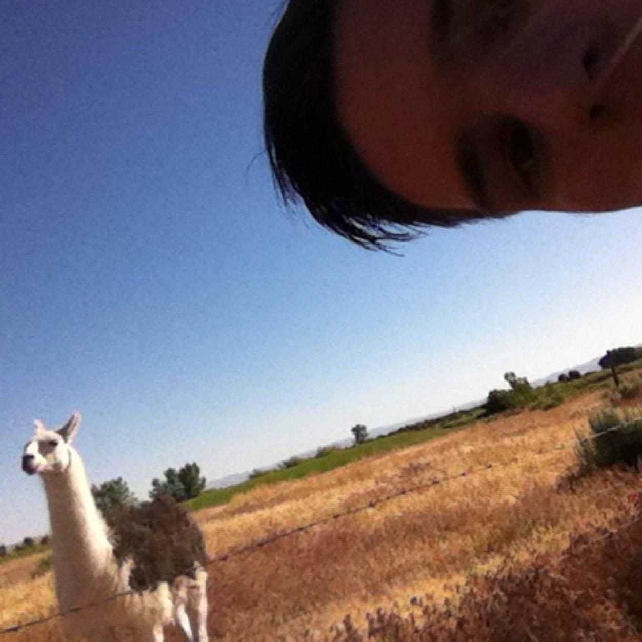 michaelhockingg's profile picture. 1love