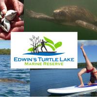 Edwin's Turtle Lake(@EdwinTurtleLake) 's Twitter Profile Photo