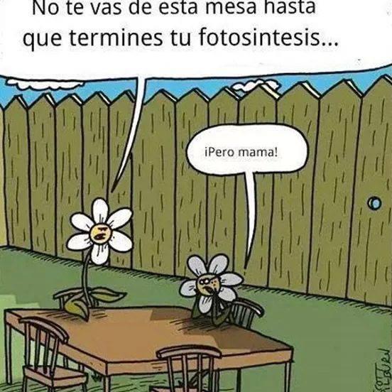 sigue tus sueños  nadie los seguirá por ti