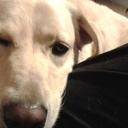 Sam Sharp - @samsharp717 - Twitter