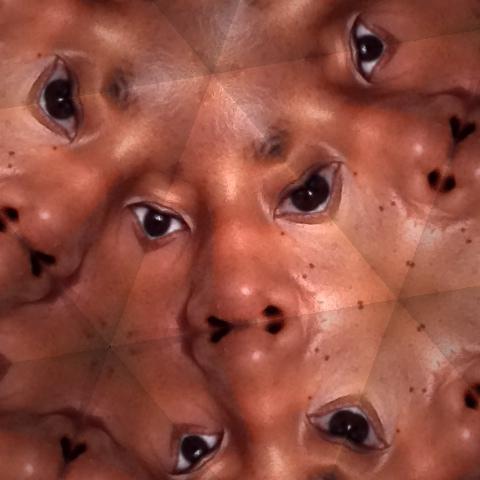 Ceondra's profile picture. I'm a Johnson who loves birds & dogs & kids & travel & arts & food & sleep - not necesarily in that order. I’m also into making money. Click the link to earn.